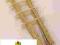 Drabinka bambusowa 150 cm /10szt pergola do roślin