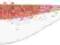 Dragon V-Lures Fatty Pro 3,0