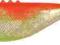 Dragon V-Lures Fatty Pro 3,0