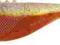 Dragon V-Lures Fatty Pro 3,5