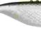 Dragon V-Lures Fatty 2,5