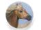 Oryginalne lusterko Catseye KONIE (HORSES)