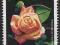 K-1 Kanada nr. 805 ** kwiaty Flora Róża