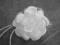 Stroik ślubny przypinka fascynator kwiat ecrue 80E