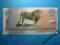 Somaliland 1000 Shillings RADAR ! P-NEW 2006 UNC !