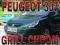 PEUGEOT 307 GRILL PASKI CHROM LISTWY TUNING F/VAT