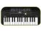 OP20 Keyboard Casio SA 46