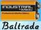 10 x BATERIA ALK. DURACELL INDUSTRIAL 6LR61/9V