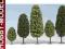 Zestaw Drzewek 10 szt. do Makiet Dioram NOCH 32601
