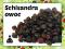 Schisandra cytryniec chiński Owoc suszony 250g