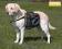 Sakwy, plecak treningowy, trekkingowy dla psa L
