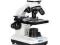 Mikroskop Delta Optical BioLight 200 + ząb rekina!