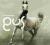 GUSGUS: ARABIAN HORSE [CD] GUS GUS