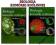 Biologia komórki roślinnej 1 Struktura + 2 Funkcja