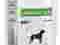 ROYAL CANIN Urinary S/O PIES 150g saszetka