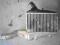 Intercooler interkuler Honda CRV CR-V 11r 2,2 D