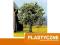 Drzewko wiśnia 7,5cm do Makiet Dioram NOCH 21580