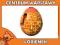 Gra Smart Egg 30881 Level 3 Groovy Labirynt Puzzle