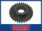 Koło zębate napędu pompy hydraulicznej Ursus C330M