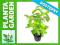 Ammania gracilis [koszyk] - PLANTA GARDEN