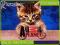 Teczka z rączką Animal Planet Cute Kot+Pies