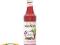 Syrop KORZENNY Spicy Monin 700ml Pompka GRATIS