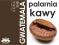 KAWA GWATEMALA SHB 250G PALONA ARABICA MIELONA