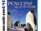 Pingwiny [Blu-ray] Penguins /Serial BBC/ 3x 60 min