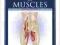 THE CONCISE BOOK OF MUSCLES Chris Jarmey