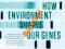 Richard C. Francis Epigenetics How Environment Sha
