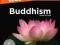 COMPLETE IDIOT'S GUIDE TO BUDDHISM Gary Gach