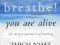 BREATHE! YOU ARE ALIVE Thich Nhat Hanh KURIER 9zł