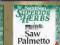 Swanson, SAW PALMETTO 120 kaps. + PILLBOX GRATIS!