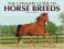 THE ULTIMATE GUIDE TO HORSE BREEDS Fitzpatrick