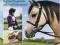 BHS FIRST PONY MANUAL Frowen, Ridge KURIER 9zł