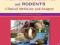 FERRETS, RABBITS, AND RODENTS: CLINICAL MEDICINE