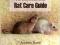 THE RATTYCORNER.COM RAT CARE GUIDE Annette Rand