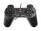 GAMEPAD NATEC GENESIS P10 (PC) GW FV