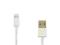 APPLE IPHONE 6 IPAD 4 IPHONE 5 KABEL USB BIAŁY B