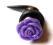 ROZPYCHACZ EXPANDER claw róża kwiat fiolet 8mm
