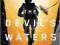 THE DEVIL'S WATERS (A USAF PARARESCUE THRILLER)