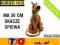 INTERAKTYWNY SKACZĄCY SCOOBY DOO AŻ 36 CM ŚPIEWA