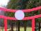 brama torii ogród japoński producent