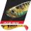 Kopyto Berkley Pulse Shad Perch 8cm ZABRZE