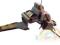 06672 Revell STAR WARS Republic Attack Shuttle