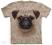 Pug Puppy - Koszulka The Mountain @ S