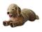 IKEA GOSIG GOLD Pluszowy piesek pies 70 cm