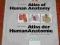 ATLAS OF HUMAN ANATOMY Frick Kummer Putz 1990