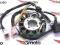 ISKROWNIK STATOR 11 CEWEK ATV 200 250 CROSS 200