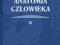 ANATOMIA CZŁOWIEKA TOM III - BOCHENEK